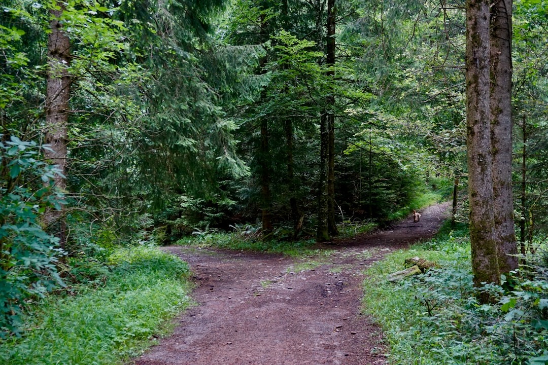 How Do I Connect with God Outside the Church? — The Spiritual Pathways Assessment
